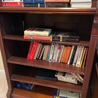 Many of the classics books lot