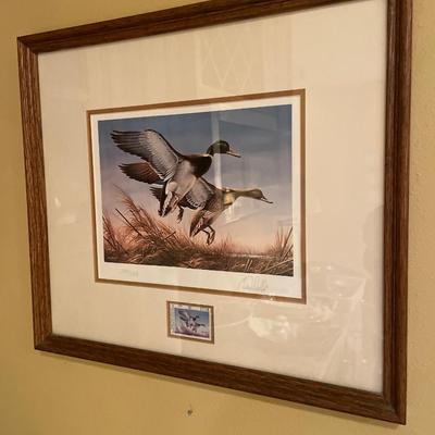 Ducks Unlimited prints with certificates