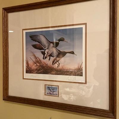 Ducks Unlimited prints with certificates