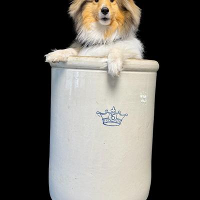 Sale Photo Thumbnail #628