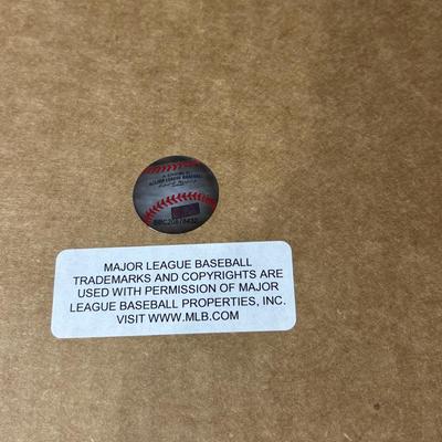 Chicago Cubs 2016 MLB World Series collage