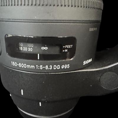 Sale Photo Thumbnail #705