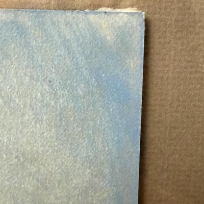 Large Original RC Gorman Oil Pastel “Woman in Blue” Art Painting - Signed