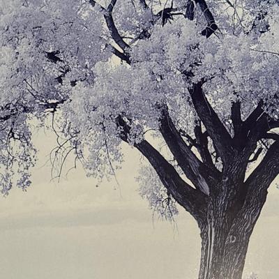 Sale Photo Thumbnail #254: 36x36.