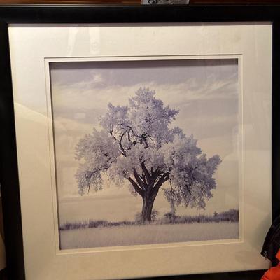 Sale Photo Thumbnail #256: 36x36.