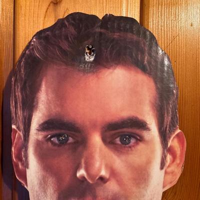 Sale Photo Thumbnail #261: See pics for damage. 71 x 30