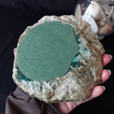 Trilobite Fossil, Seashells & More (LR-BBL)