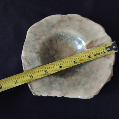 Trilobite Fossil, Seashells & More (LR-BBL)