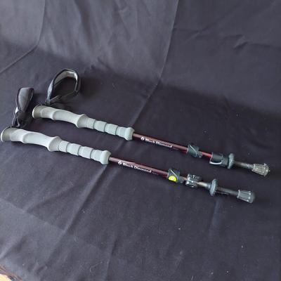 Pair of Black Diamond Trekking Poles & More (E-BBL)