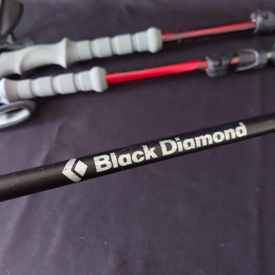 Pair of Black Diamond Trekking Poles & More (E-BBL)