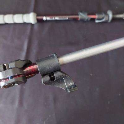 Pair of Black Diamond Trekking Poles & More (E-BBL)