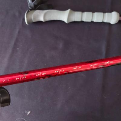 Pair of Black Diamond Trekking Poles & More (E-BBL)