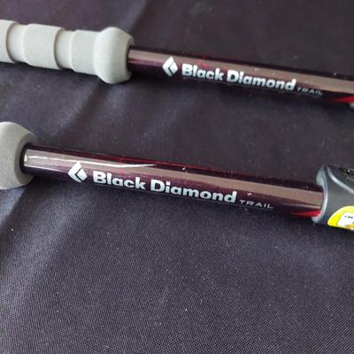 Pair of Black Diamond Trekking Poles & More (E-BBL)