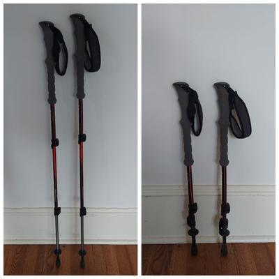 Pair of Black Diamond Trekking Poles & More (E-BBL)