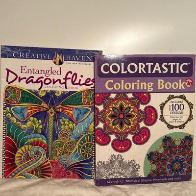 Sale Photo Thumbnail #379: Dragonfly coloring book has had pages ripped out