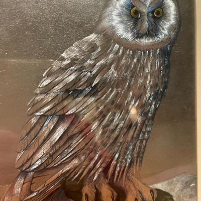 Owl foil art in green frame