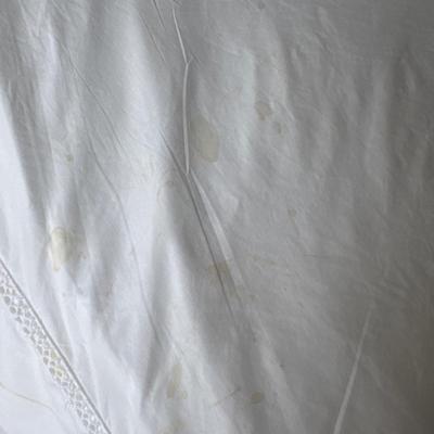 B1049 UPDATE Pair of White Sferra Bros Duvet Covers with Standard Sham