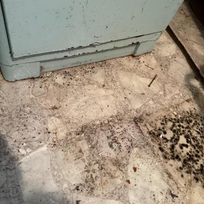 Vintage Metal Cabinet with Cool Contents