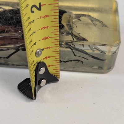 Insect In Resin Block - Fossil