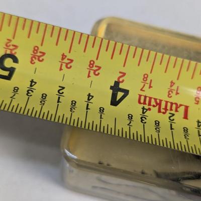 Insect In Resin Block - Fossil