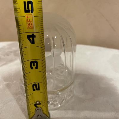 Hofbauer Byrdes Collection bird in crystal dome