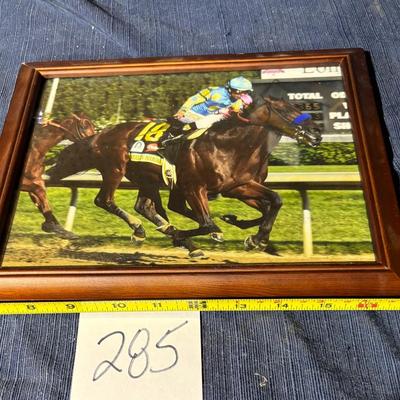 American Pharaoh Picture