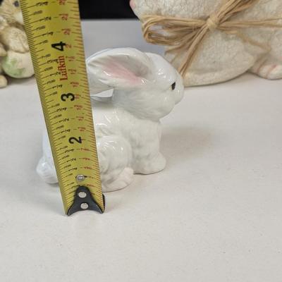 Collection Of Bunny Rabbits