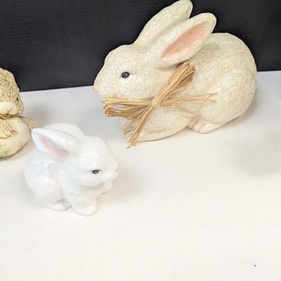 Collection Of Bunny Rabbits