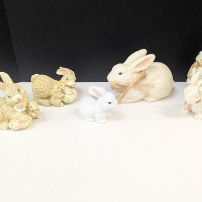 Collection Of Bunny Rabbits