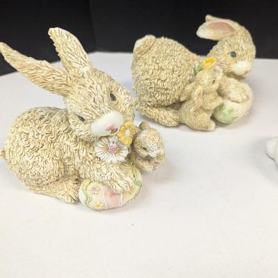 Collection Of Bunny Rabbits