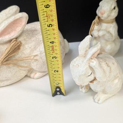 Collection Of Bunny Rabbits