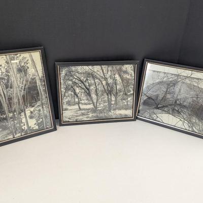 10" x 8" Black & White Landscape Photos