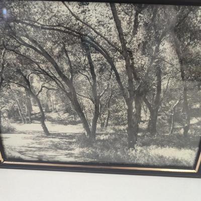 10" x 8" Black & White Landscape Photos