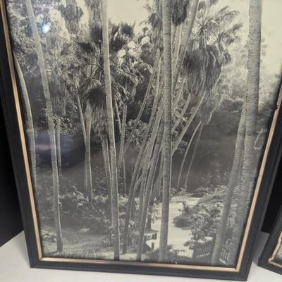 10" x 8" Black & White Landscape Photos