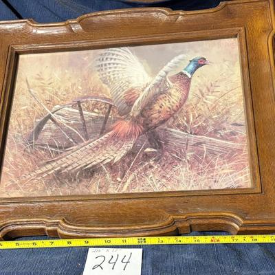 Pheasant Art Print
