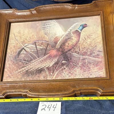 Pheasant Art Print