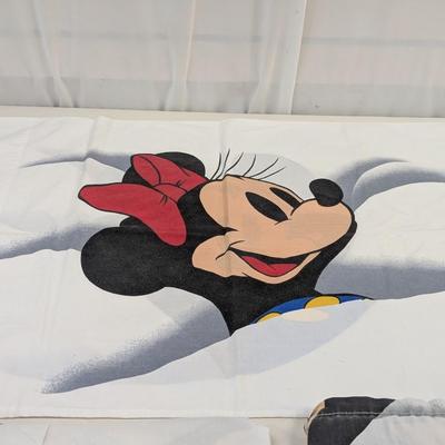 The Walt Disney Co. Twin Size Sheet Set
