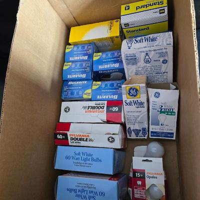 Variety of household light bulbs -