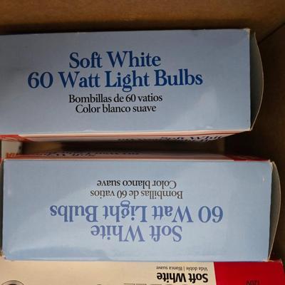Variety of household light bulbs -