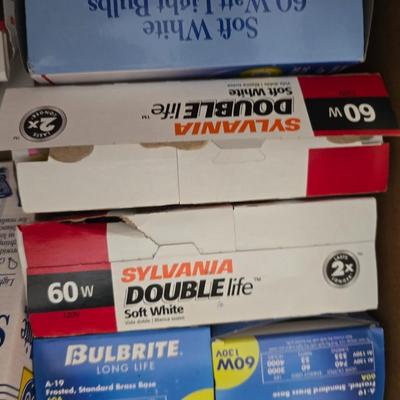 Variety of household light bulbs -