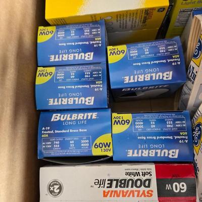 Variety of household light bulbs -