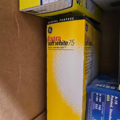 Variety of household light bulbs -