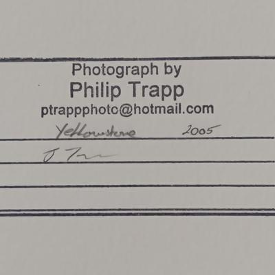 SIGNED AND NUMBERED PRINT "YELLOWSTONE GRASSES" BY PHILLIP TRAPP