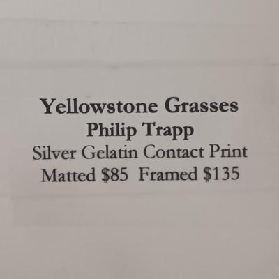 SIGNED AND NUMBERED PRINT "YELLOWSTONE GRASSES" BY PHILLIP TRAPP