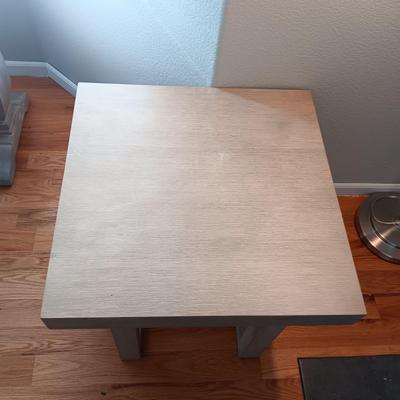 1 JALISCO SQUARE COCKTAIL TABLE AND A LIVE CHRISTMAS CACTUS