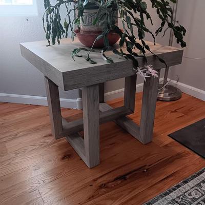 1 JALISCO SQUARE COCKTAIL TABLE AND A LIVE CHRISTMAS CACTUS