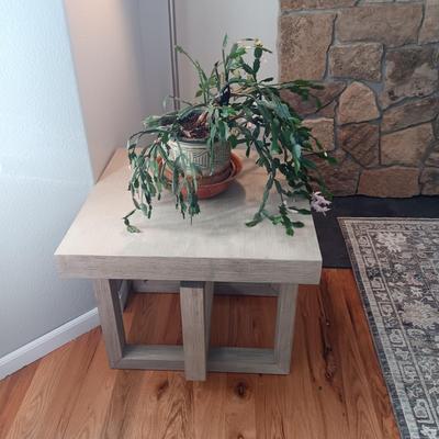 1 JALISCO SQUARE COCKTAIL TABLE AND A LIVE CHRISTMAS CACTUS