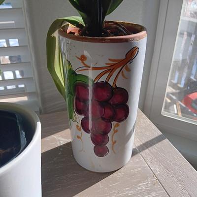 2 LIVE STARTER PLANTS AND A TABLETOP SOLAR CHIME