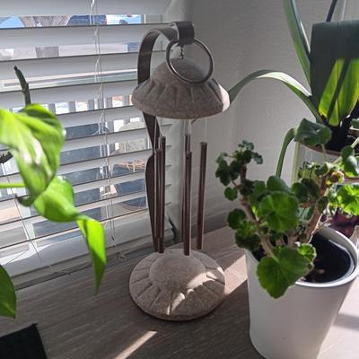 2 LIVE STARTER PLANTS AND A TABLETOP SOLAR CHIME