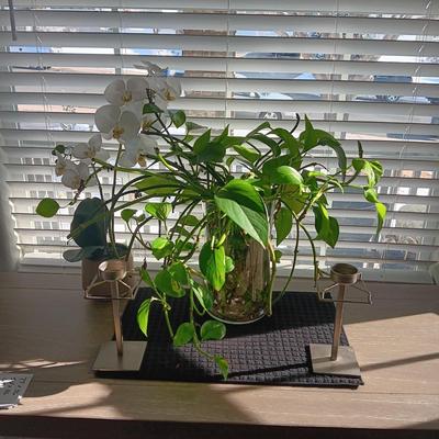 A LIVE PLANT, FAUX ORCHID AND 2 METAL CANDLE HOLDERS